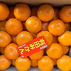 まるたま農園  大玉大粒有田みかん 箱込約5kg
