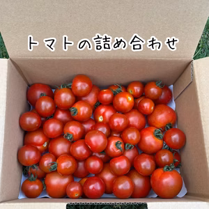 トマトの詰め合わせ❗️