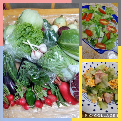 みんなの投稿の画像