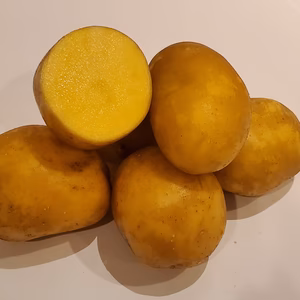 高級　★　インカのめざめ　★　じゃがいも　★　新じゃがいも