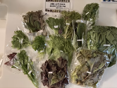 みんなの投稿の画像