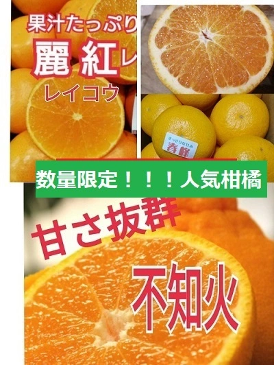 レモネード付】感謝セール❢6種の柑橘セット合計4kg（箱込み）と選ぶ豪華セット