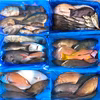 〜五島列島〜鮮魚セット