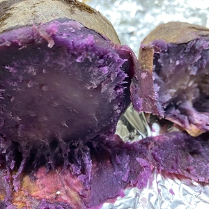【訳あり土付き】鮮やかな紫芋！パープルスイートロード（S～L詰め合わせ）