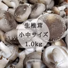　徳島県産　やまのこ農園より直送　小中サイズ椎茸1キロ 