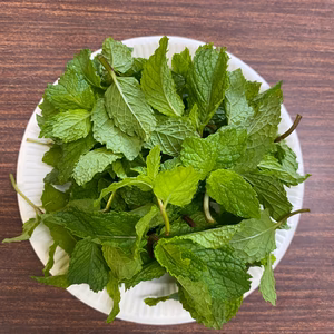 フレッシュハーブ　有機JAS認証　スペアーミント