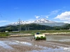 新米 氷河米「はえぬき」白米 特別栽培米 令和5年産 山形県庄内産