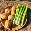 数量限定　おまけ付き朝採り夏アスパラ　ML混合サイズ