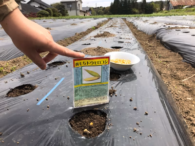 みんなの投稿の画像