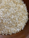 たんぱく質 玄米 糖質オフ 筋トレ 腸活 乳酸菌 雪中貯蔵 あきたこまち 米