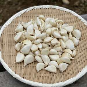 【通常価格】送料370円（レターパック便）国産完熟にんにく(バラ600g）