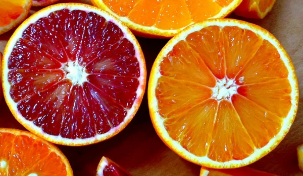 【2種類】ブラッドオレンジ食べ比べセット 2〜20kg