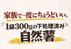★ひげ根処理済み★【少人数の食卓にぴったりサイズ】カット自然薯真空パック