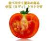【父の日ギフト】『ぴちぴちトマト フルティカ 』1kg