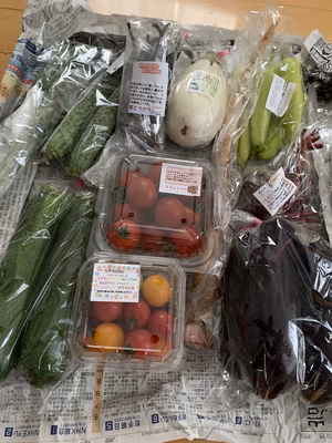 みんなの投稿の画像