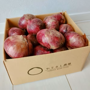 【♫お得な超大容量♫】サク甘！赤たまねぎ
