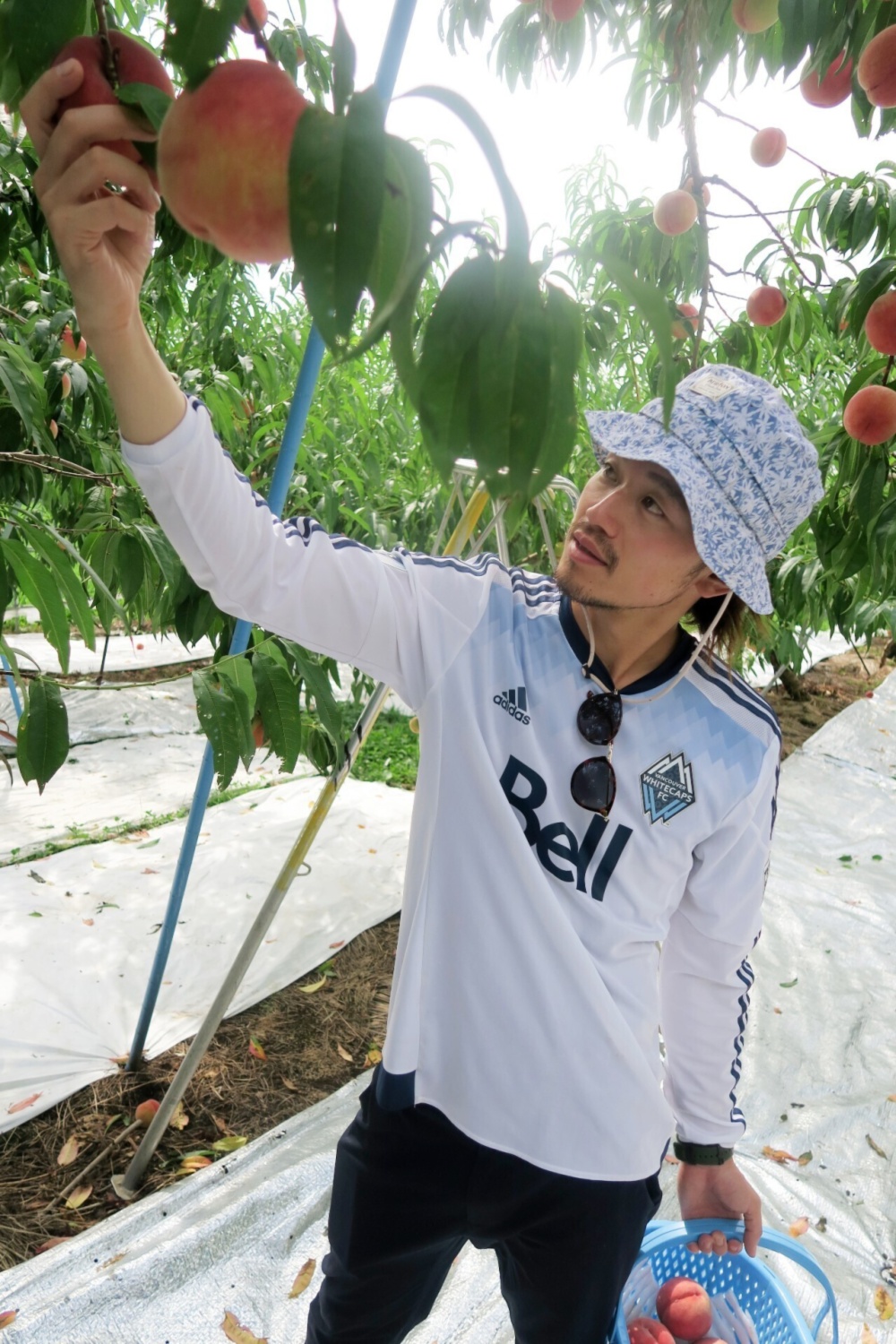 Pure Waterの通販 清水太郎さん 農家漁師から産地直送の通販 ポケットマルシェ