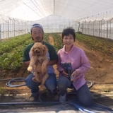 村地 薫 | スマイル ファ－ム「マロン」