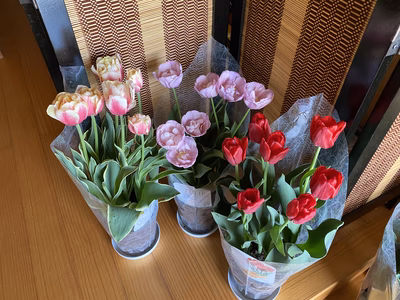 みんなの投稿の画像