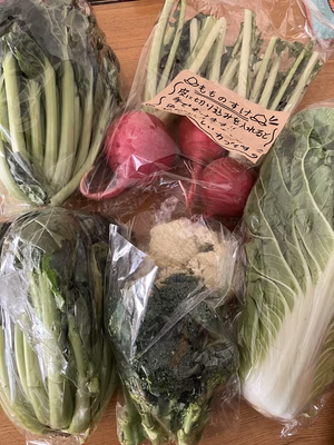 みんなの投稿の画像