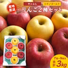 【予約商品・送料無料】山形県産りんご サンふじ シナノゴールド詰め合わせ