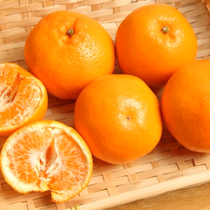 【じゅわっと甘い！】玉宝はるみ（ご家庭用）※２月発送開始