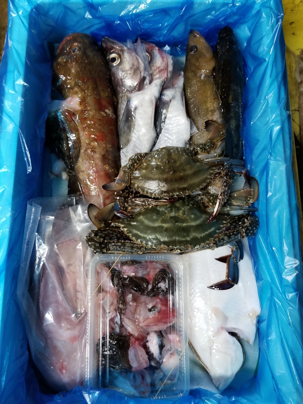 イチマン 本日水揚げ2活〆鮮魚セット 内臓処理して発送 農家漁師から産地直送の通販 ポケットマルシェ