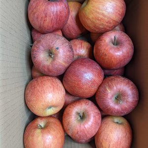 リンゴバラ詰め