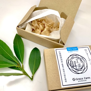 【かわいいお手頃サイズ！】ミニ白美茸(白いきくらげ)乾燥10g 箱入りタイプ