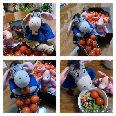 みんなの投稿の画像