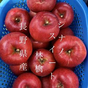 太陽の光を沢山浴びた林檎《シナノスイート》