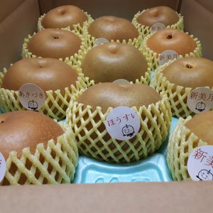 B-ASH5【自家用大玉】 秋月・新美月・豊水 5キロ(9玉)