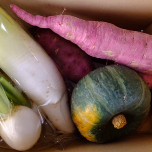 【訳あり商品】秋野菜セット（紅はるか、カボチャ、他1種類以上）」