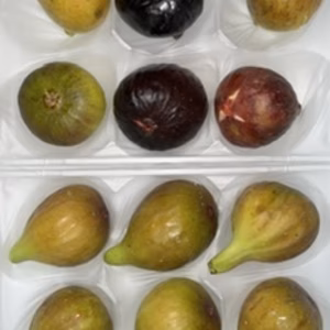 　本日の朝市❗️世界のイチジク食べ比べセット&バナーネ