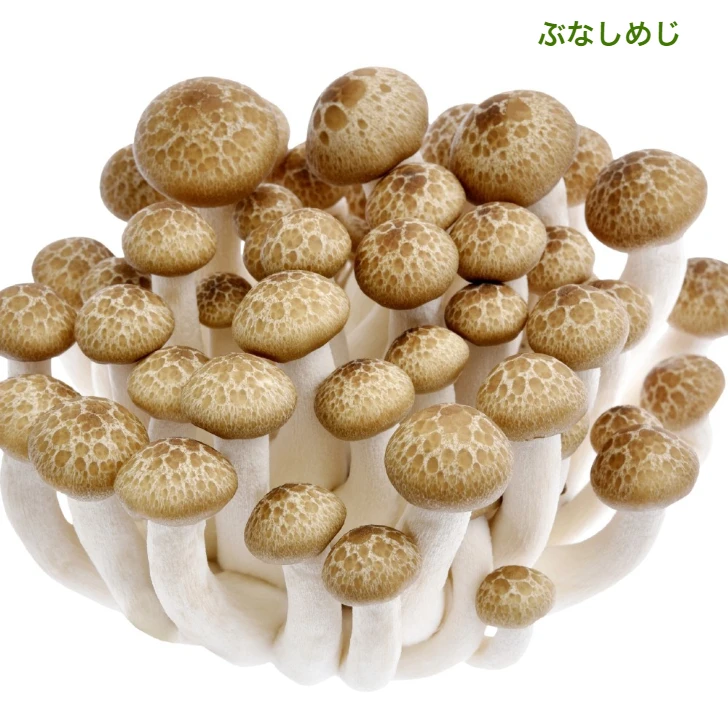 山形県産  「茸炊き込みご飯の素」200gｘ4（4袋セット）