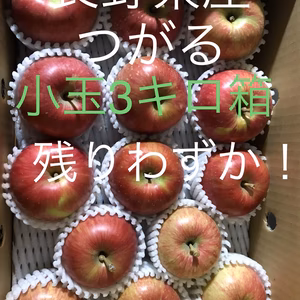 信州産サンつがる小玉