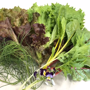 「サラダ生活」1週間分にエディブルフラワーを添えて　