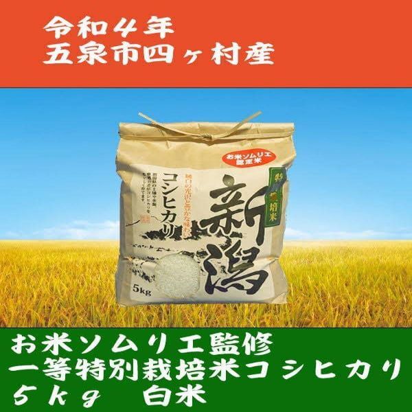 新米❇️令和4年産❇️お米ソムリエ監修❇️新潟特栽米コシヒカリ5kg白米｜米・穀類の商品詳細｜ポケットマルシェ｜産直(産地直送)通販 -  旬の果物・野菜・魚介をお取り寄せ