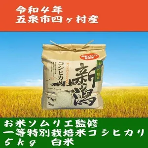 ❇️令和4年産❇️お米ソムリエ監修❇️新潟特栽米コシヒカリ5kg白米