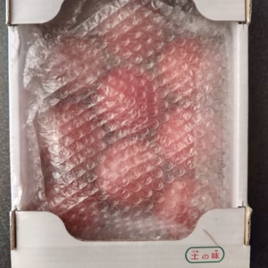 《ギフトにも》甘くて美味しい、桃太郎トマト