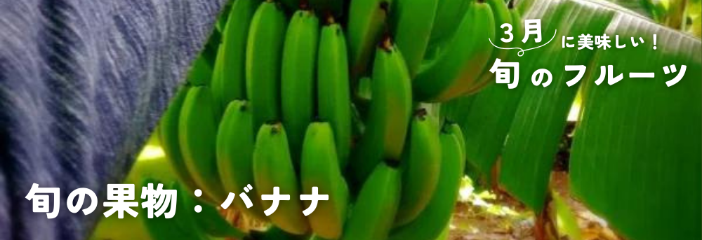 ２月に旬の果物：バナナ