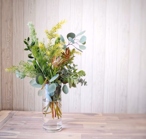 期間限定✳︎緑のある暮らし✳︎オージープランツセット【6〜7品目計10本】