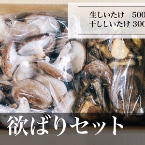 【常温便】欲ばりセット　干ししいたけも生しいたけもたっぷり欲しい方に！