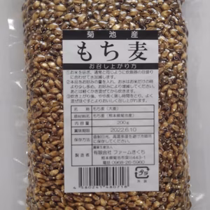 菊池市産もち麦　菊池米の棚田で作ったもち麦（ダイシモチ）