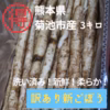 訳あり熊本産新ごぼう３キロ《柔らかく香り高い》