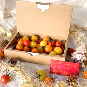 【クリスマスギフトボックス】イスラエル・各国のミニトマト・3種★500gバラ詰