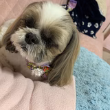 べべ  