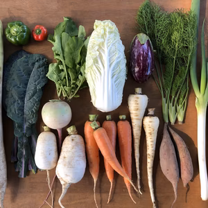 【東北食べる通信お試し企画】青森の伝承野菜セット【雲谷ト森山農園】