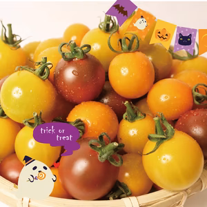 《期間限定!》Happy Halloween♡ミニトマトセット(800g)