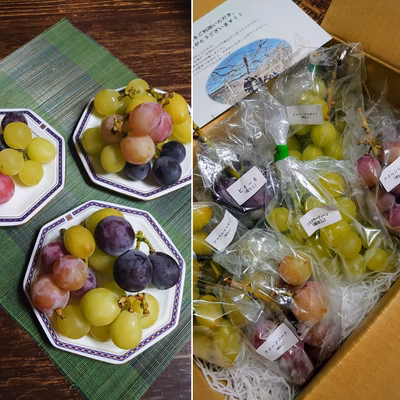 みんなの投稿の画像